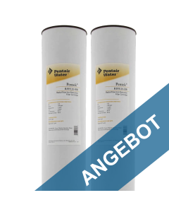 Pentek Eisenfilterkartusche RFFE20-BB Doppelpack für Big Blue Eisenfilter