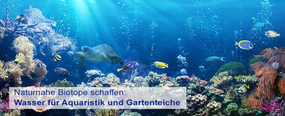 Wasserfilter-fuer-Aquarien-und-Teiche_1_