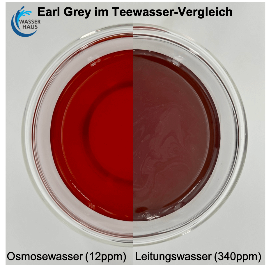 Earl Grey im Teewasser-Vergleich