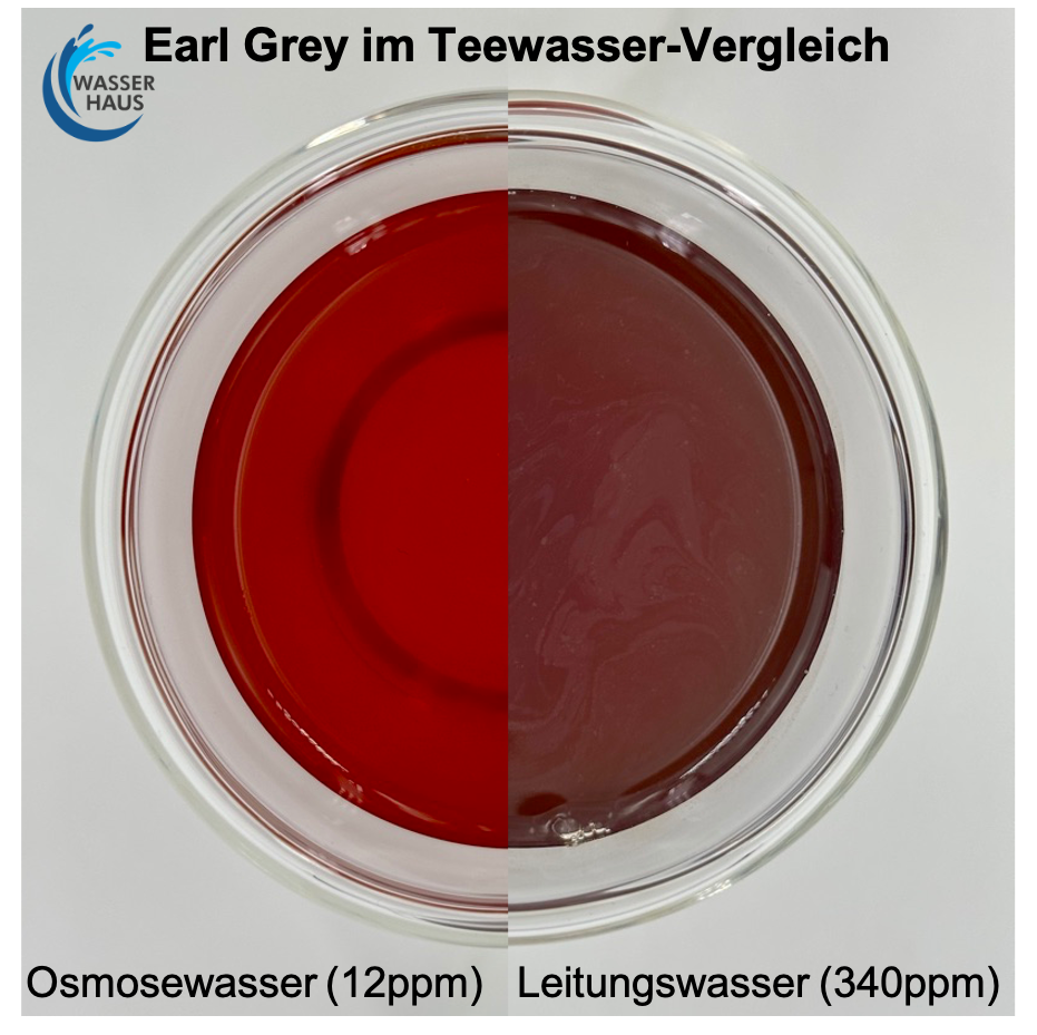 Earl-Grey-Teewasservergleich-Wasserhaus-2