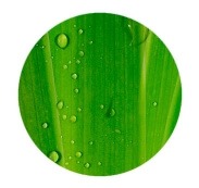 osmosewasser_0003_guter-grund-umwelt_1_