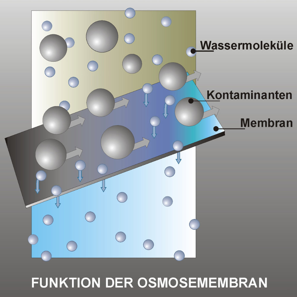 Funktion einer Osmosemembran