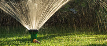 Wasserfilter für Garten und Pool - kristallklares Wasser genießen