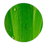 Plastikflaschen vermeiden mit einer Osmoseanlage